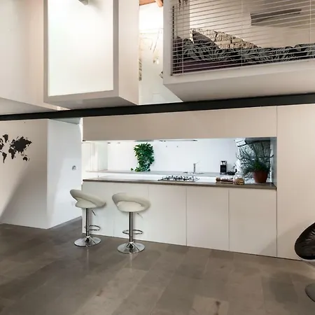 Apartment Loft Newyorchese